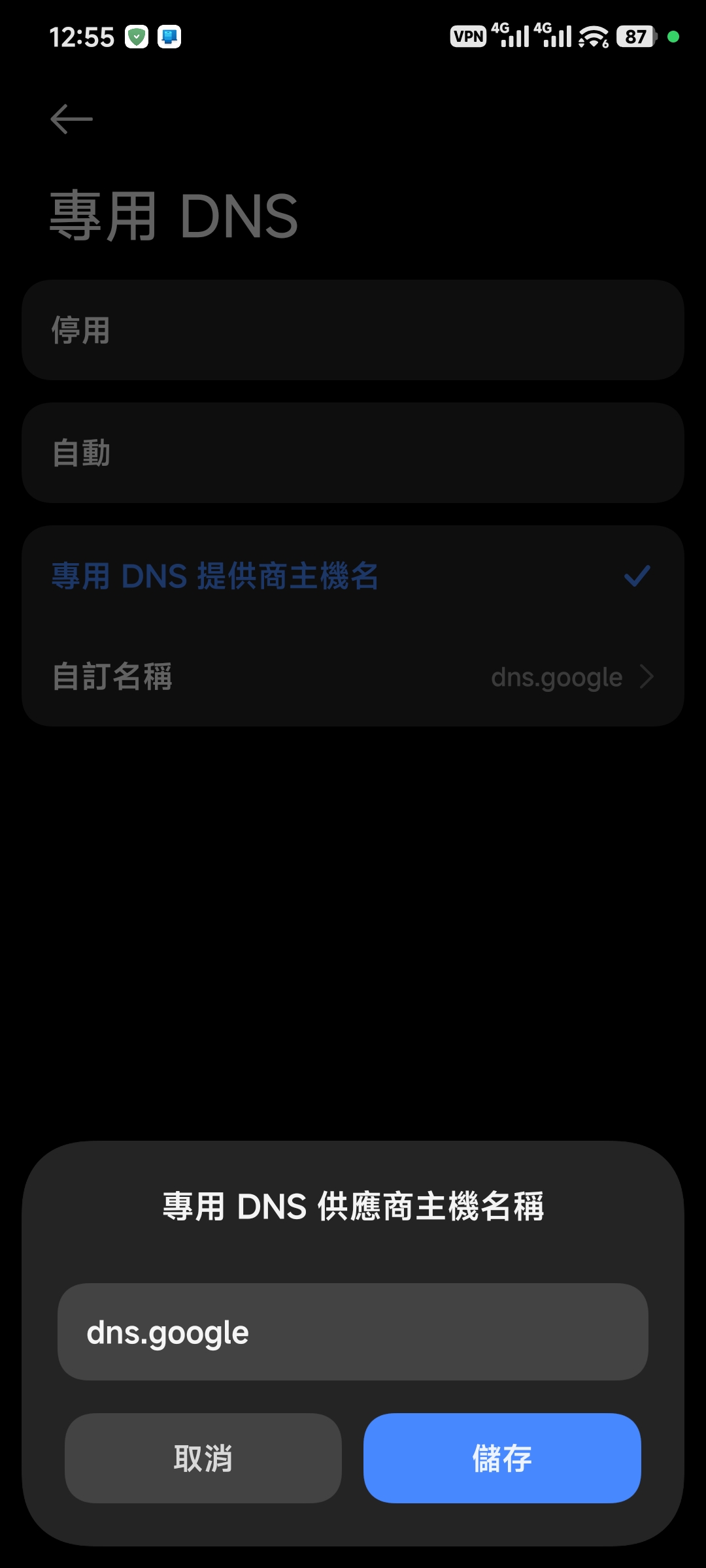專用 DNS 設定畫面
